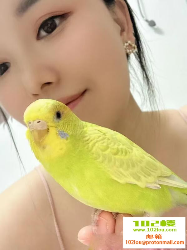 170602d1k6188k7k8z60zj.jpg